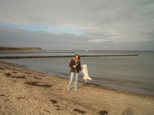 © 2007 by Jolle