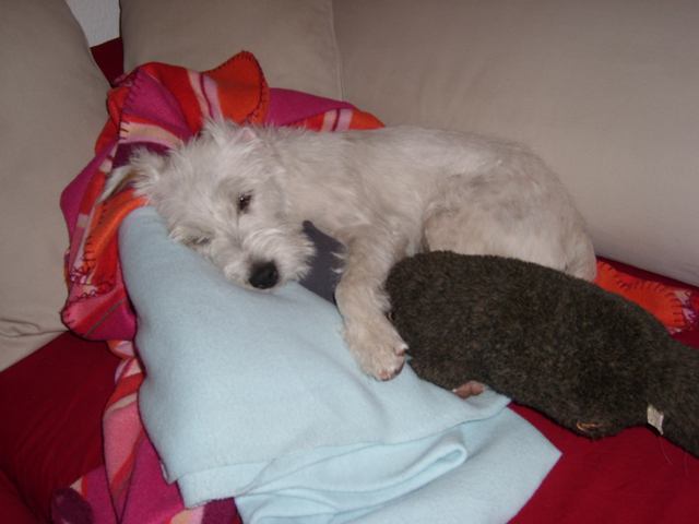 Lea on the couch(&copy 2008 by Jolle)