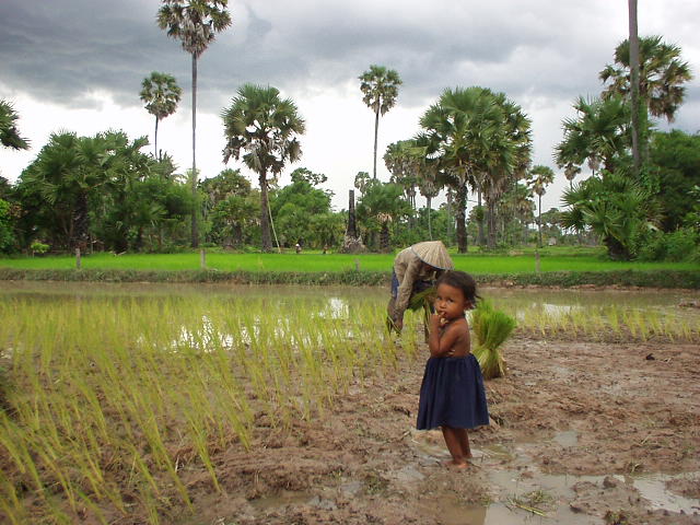 A nice scenery from my Cambodia visit (&copy 2009 by Johannes Beck)