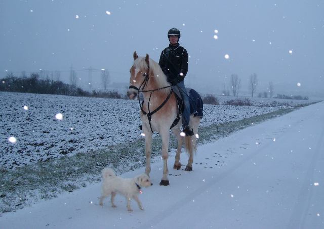 Riding with Andor in the snow